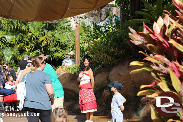 Moana out greeting guests near her attraction