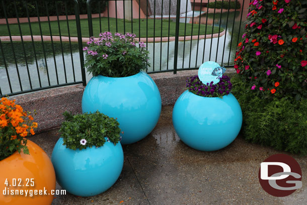 Envious Plants