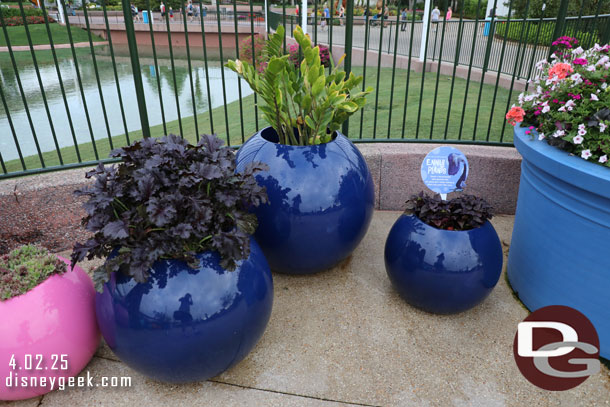 Ennui Plants