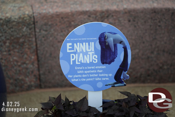 Ennui Plants