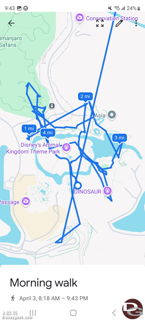 My Animal Kingdom path today