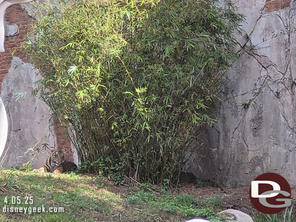 Bakso visible, his mother behind the plants