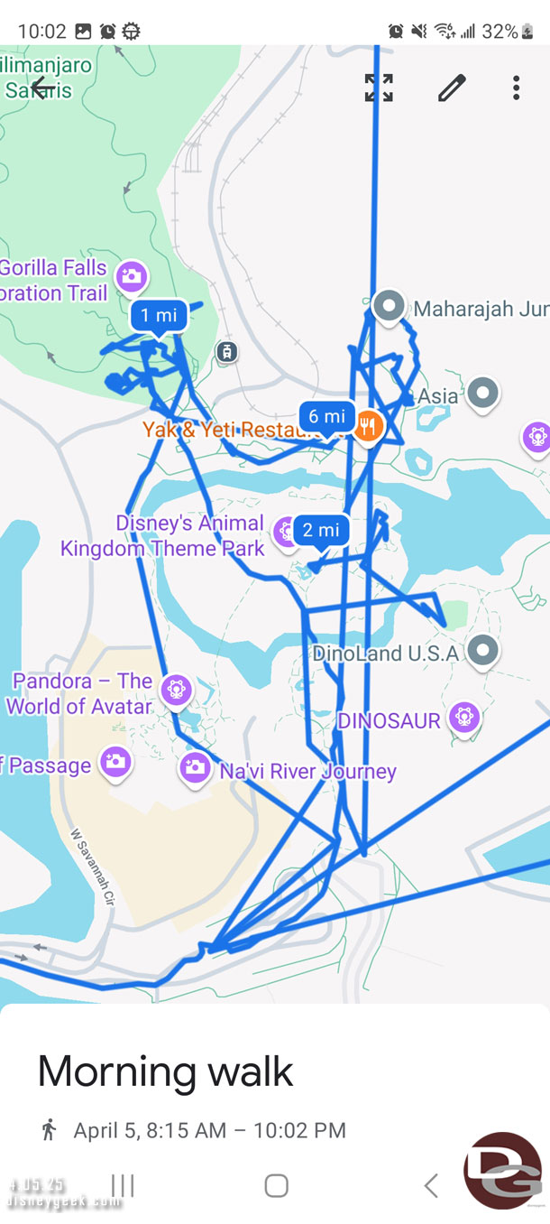 My time at Disney's Animal Kingdom